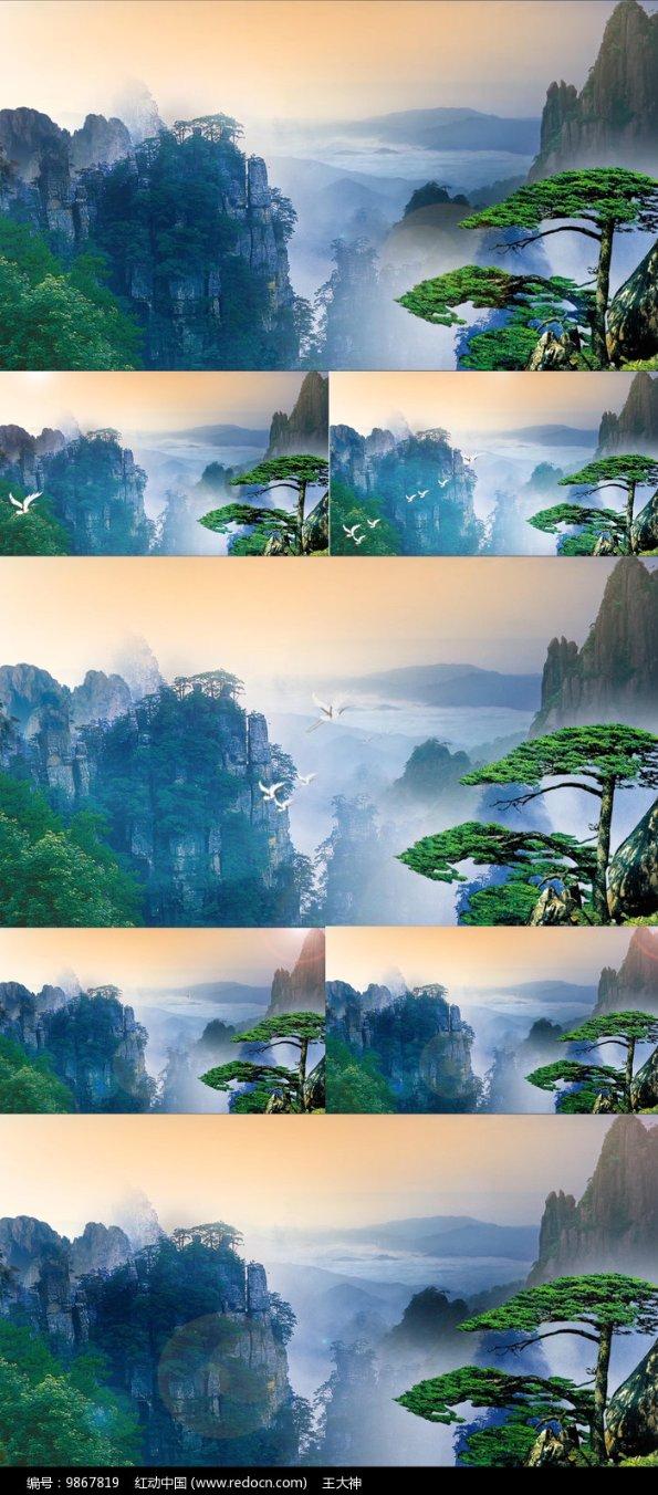 买错了保险，究竟要不要退保